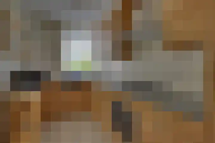 Campbellhof 46 Dronten thumbnail 12