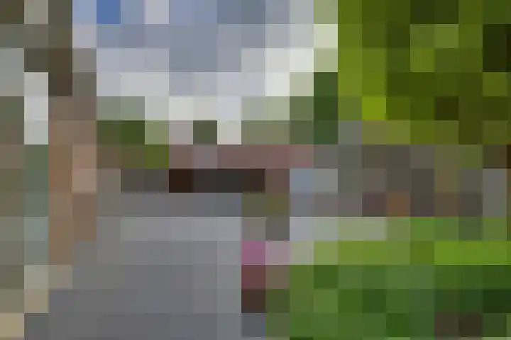 Campbellhof 46 Dronten thumbnail 22