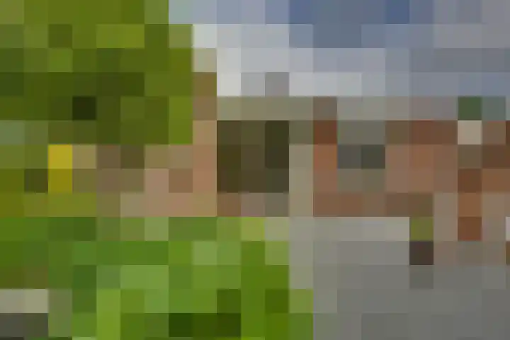 Campbellhof 46 Dronten thumbnail 23