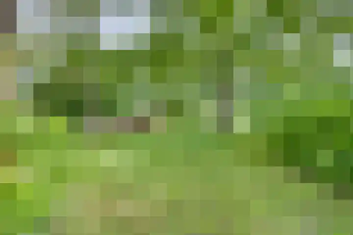 Campbellhof 46 Dronten thumbnail 24