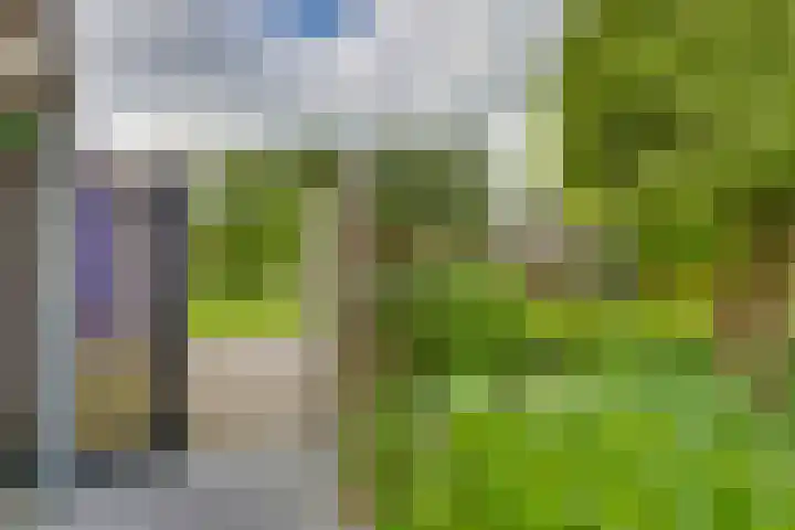Campbellhof 46 Dronten thumbnail 25