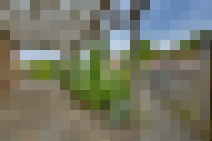 Campbellhof 46 Dronten thumbnail 33