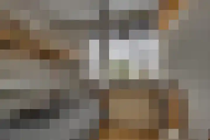 Campbellhof 46 Dronten thumbnail 38