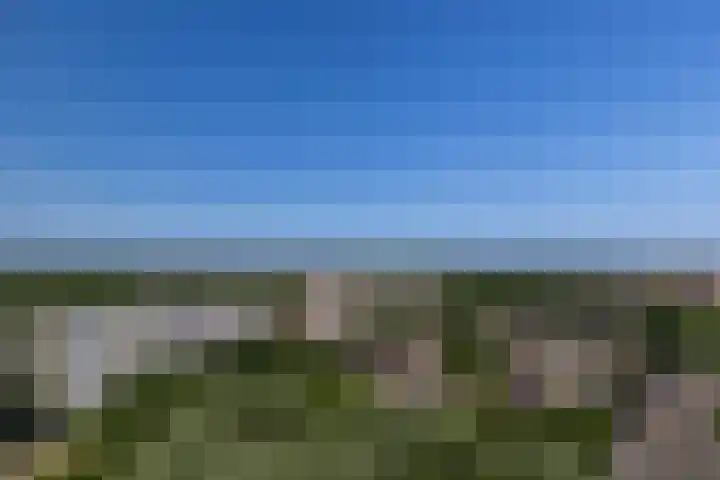 Campbellhof 46 Dronten thumbnail 5