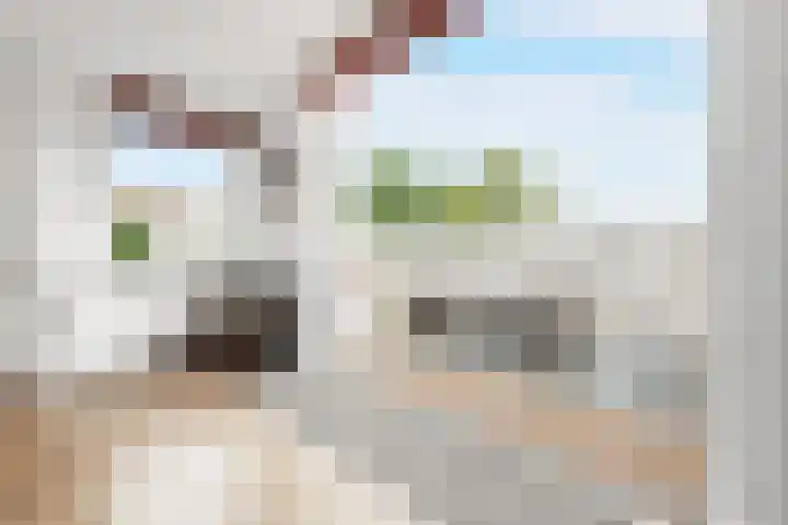 Campbellhof 48 Dronten thumbnail 20