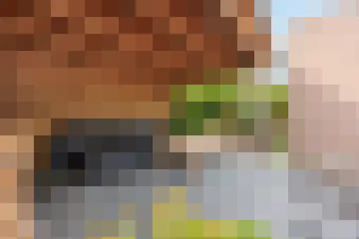 Campbellhof 48 Dronten thumbnail 25