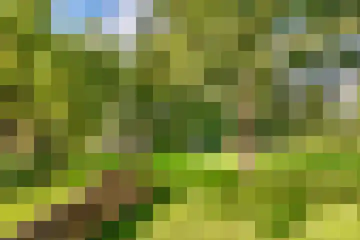 Campbellhof 48 Dronten thumbnail 27