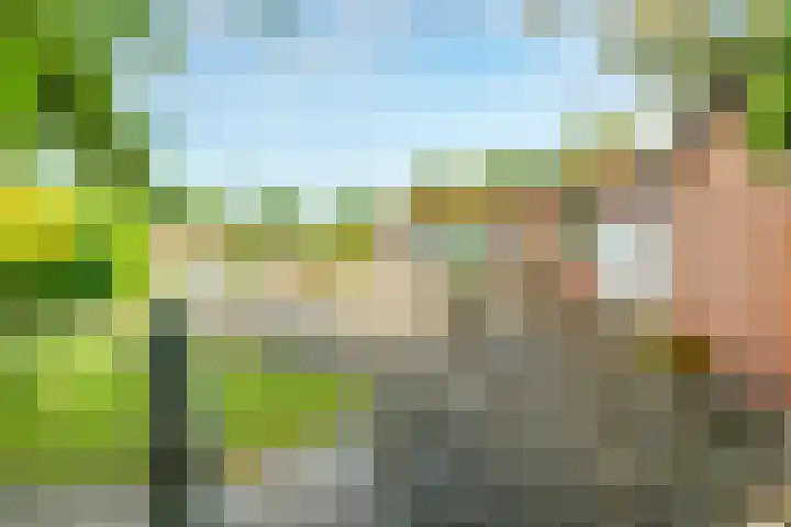 Campbellhof 48 Dronten thumbnail 4