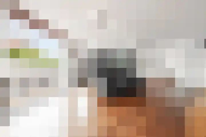 Campbellhof 48 Dronten thumbnail 8
