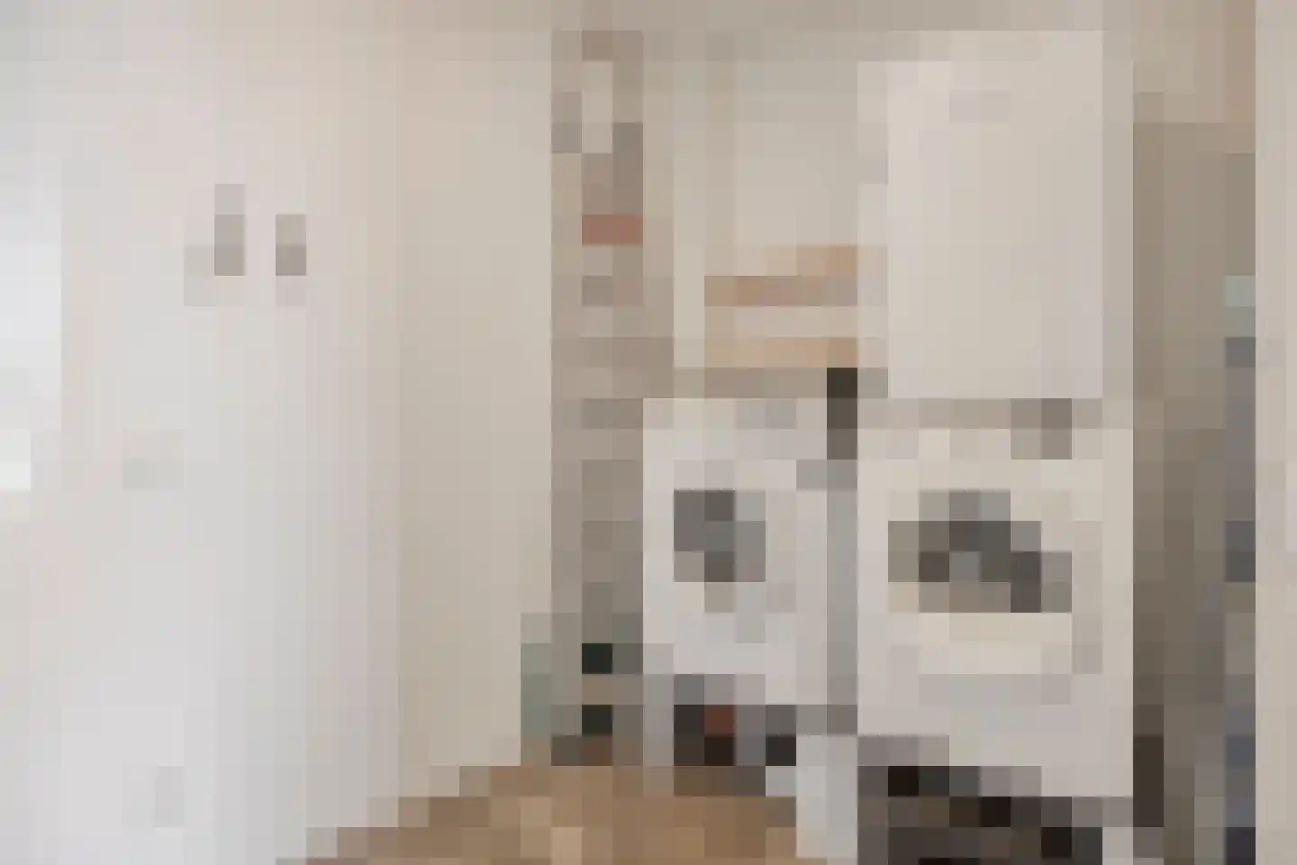 Campbellstraat 19 Linne thumbnail 22