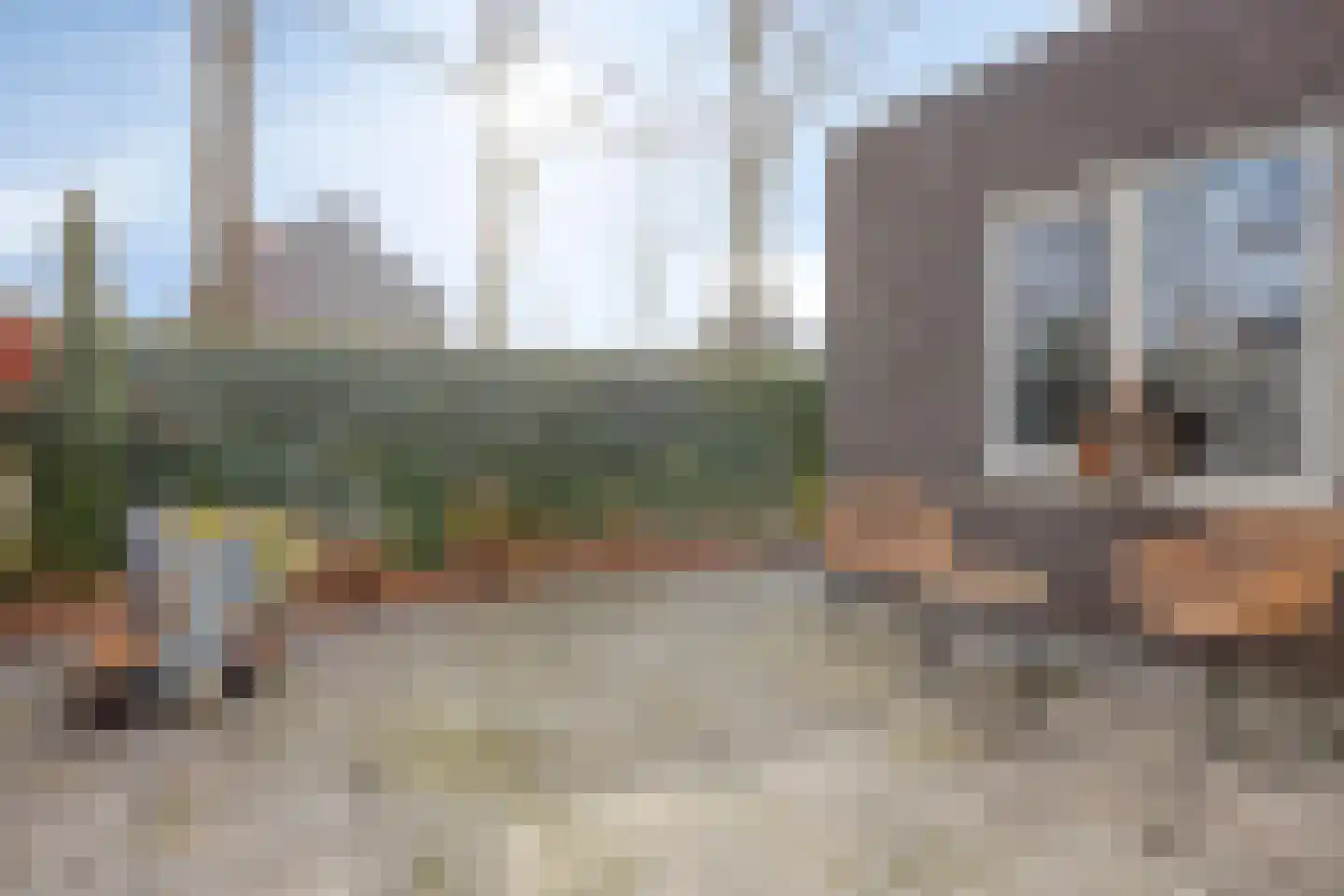 Campbellstraat 19 Linne thumbnail 23