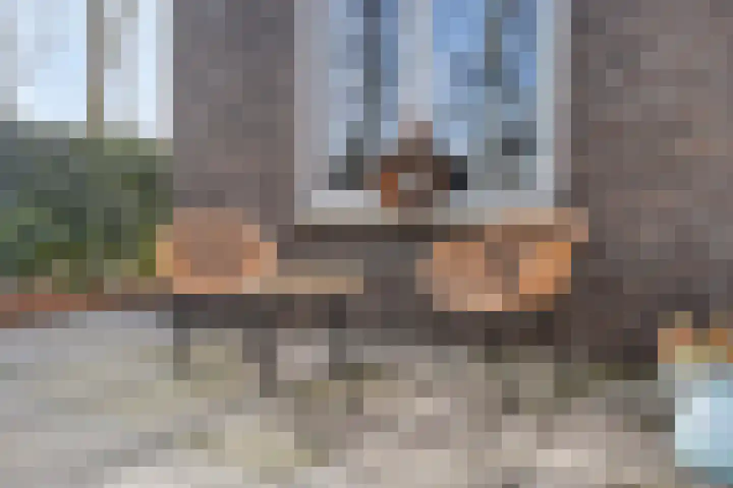 Campbellstraat 19 Linne thumbnail 24