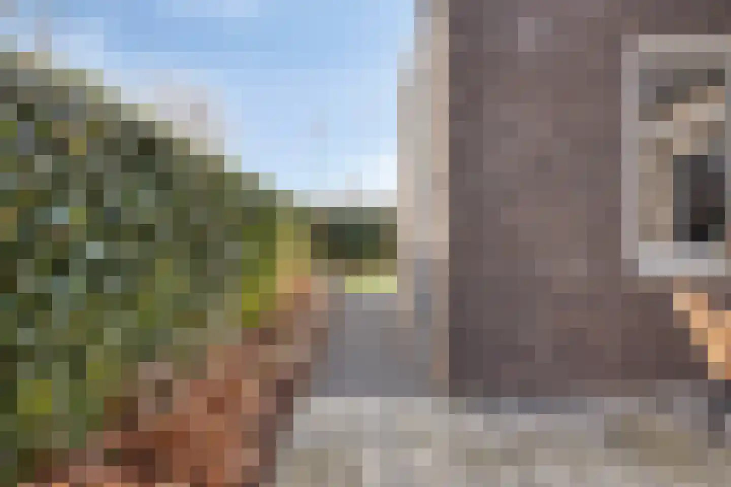 Campbellstraat 19 Linne thumbnail 25