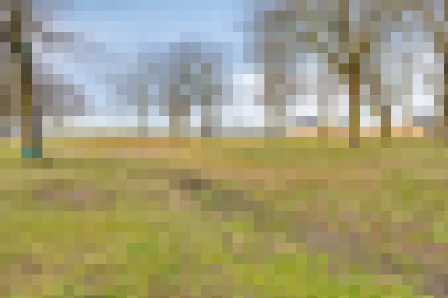 Campbellstraat 19 Linne thumbnail 35