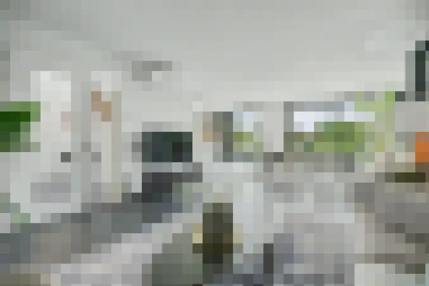 Campen 1 Kamperland thumbnail 21