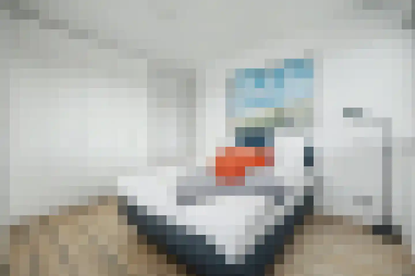 Campen 1 Kamperland thumbnail 30