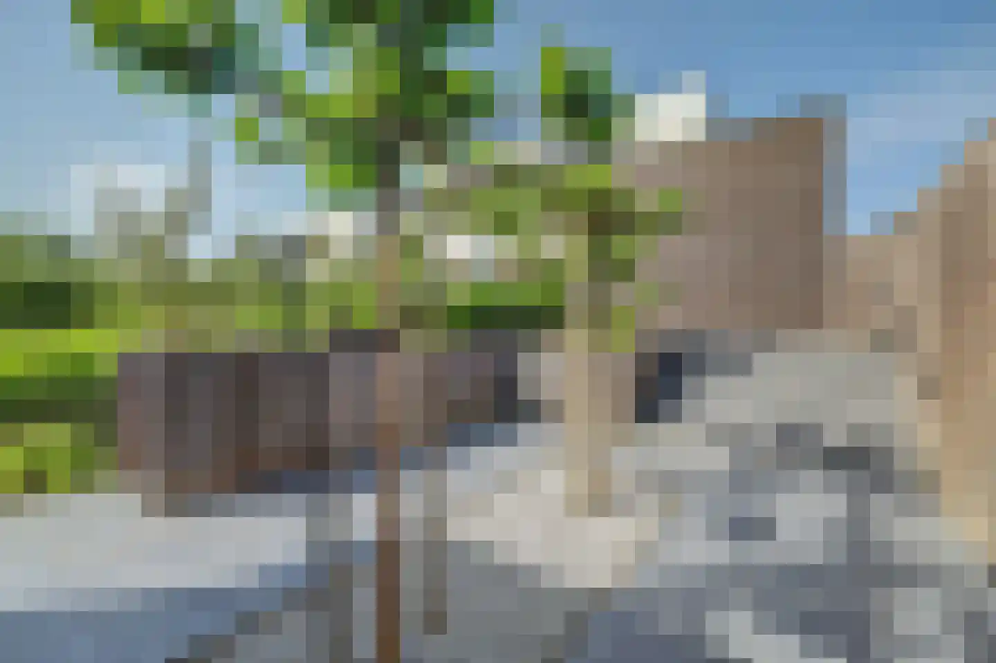 Campen 1 Kamperland thumbnail 47