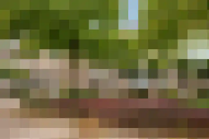 Campenshof 4 Malden thumbnail 33