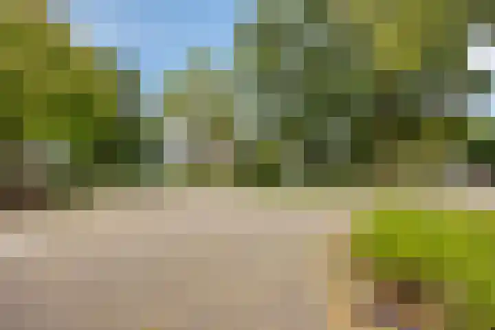 Campenshof 4 Malden thumbnail 34