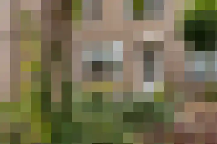 Campenshof 4 Malden thumbnail 6