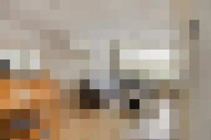 Campenshof 4 Malden thumbnail 9