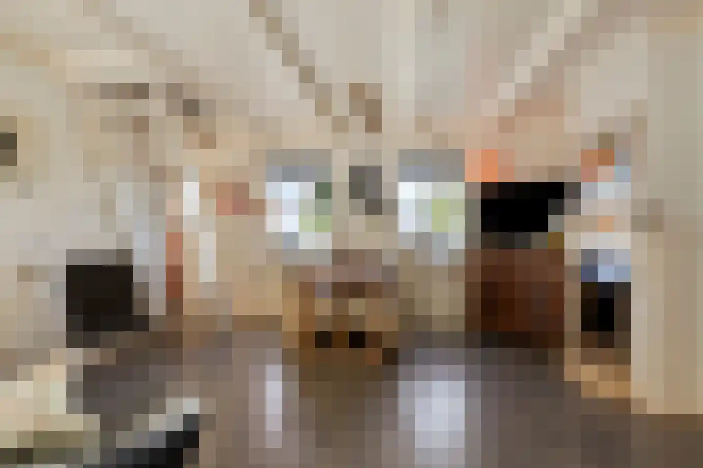 Campensnieuwland 24 Kamperland thumbnail 17