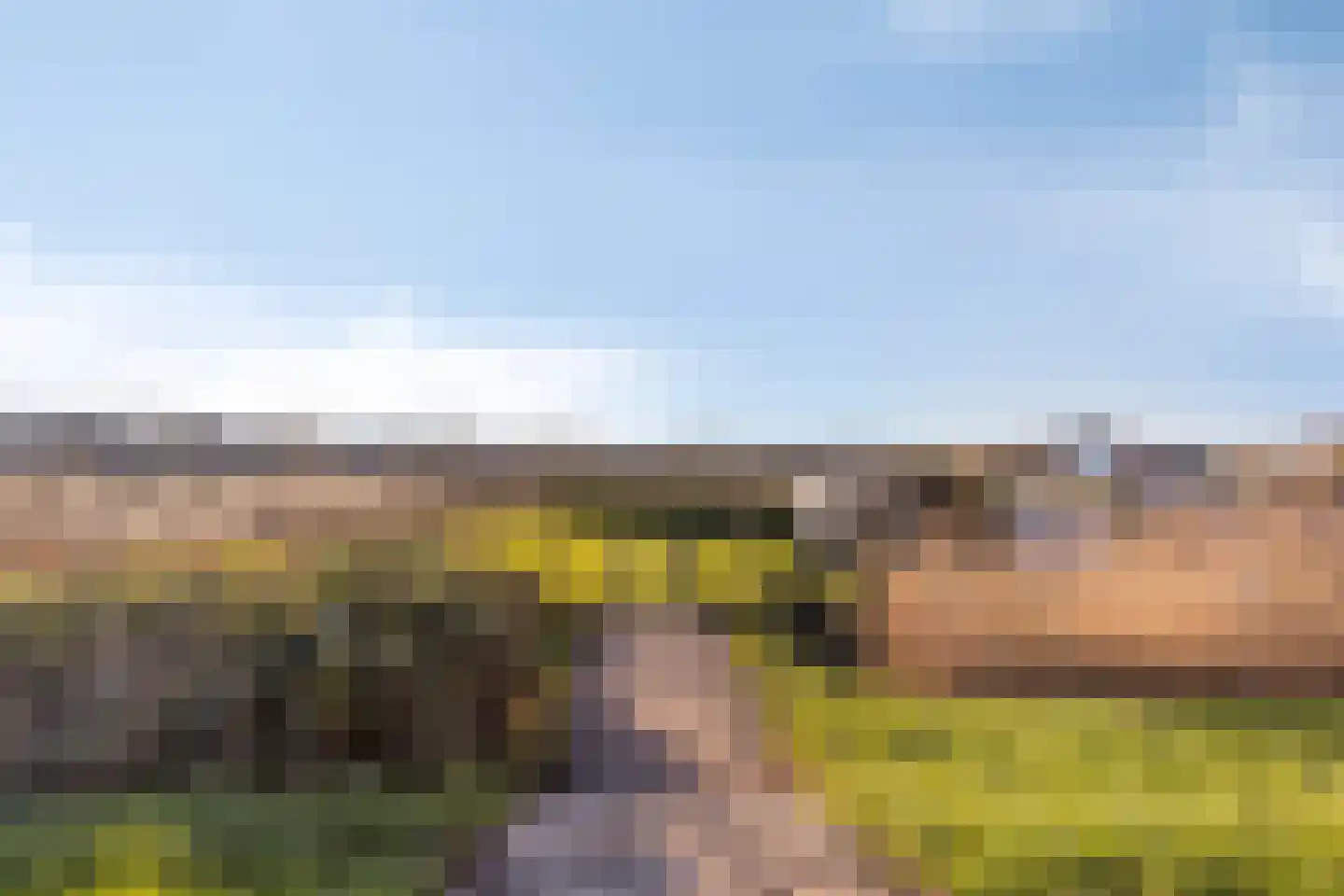 Campensnieuwland 24 Kamperland thumbnail 4