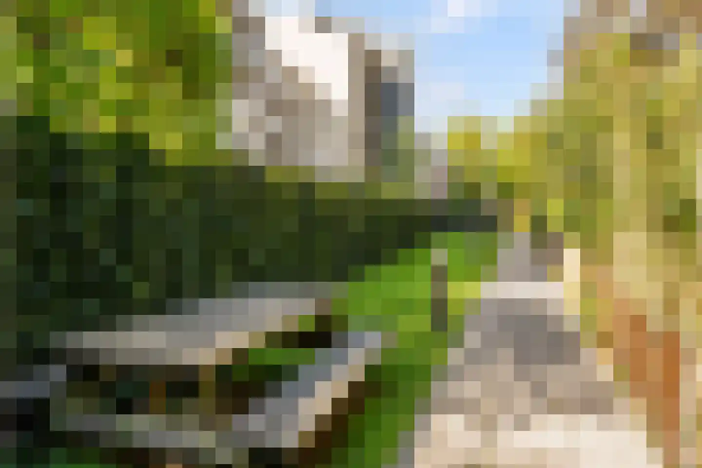 Camperstraat 20 N Amsterdam thumbnail 22