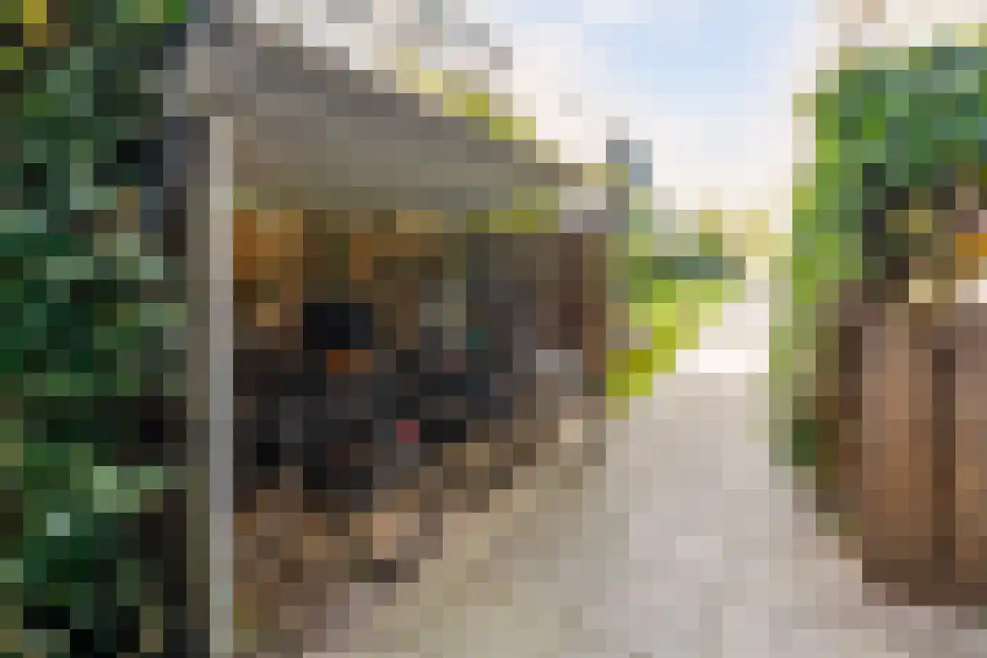 Camperstraat 20 N Amsterdam thumbnail 23