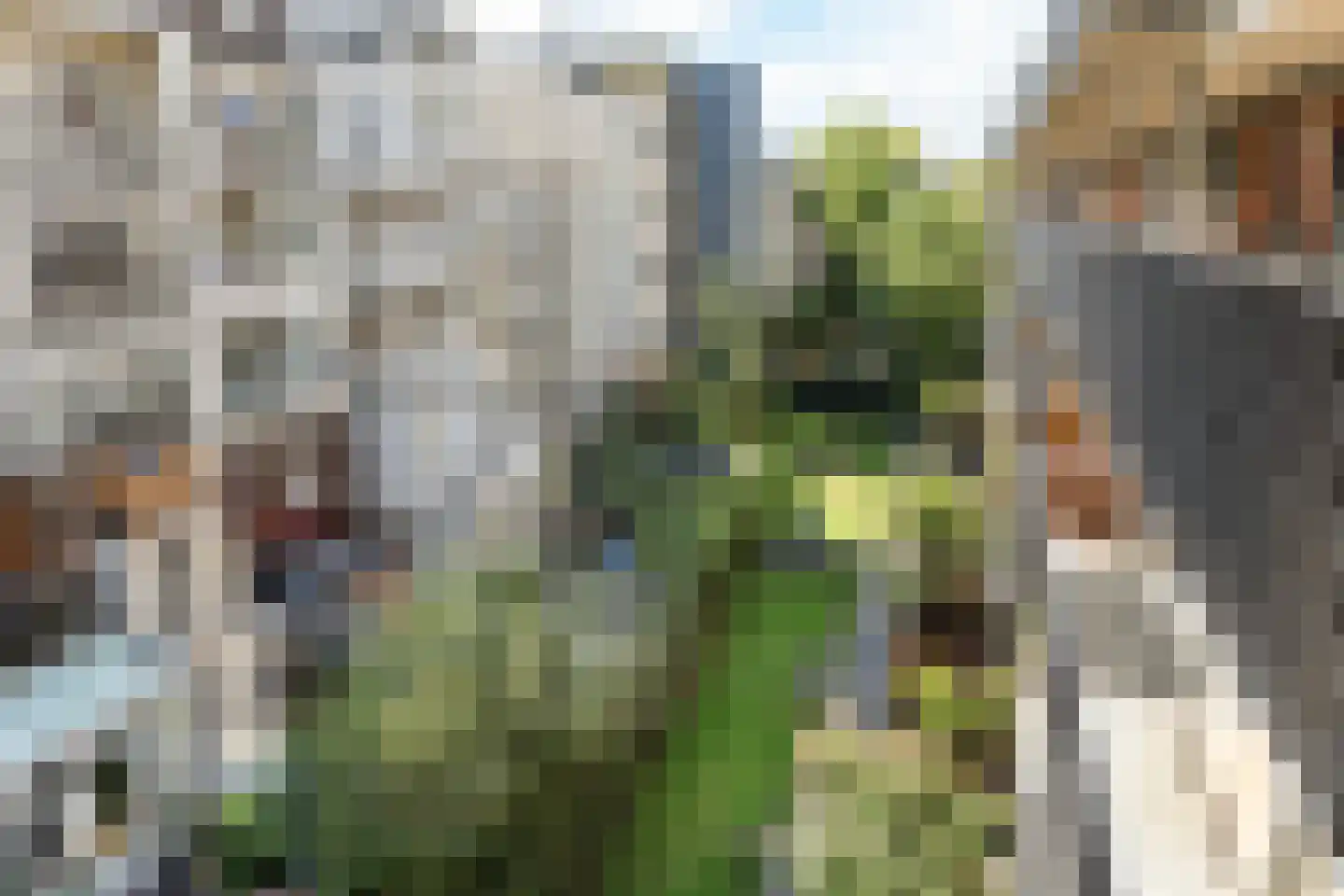 Camperstraat 20 S Amsterdam thumbnail 22