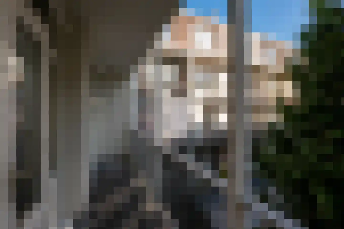 Camperstraat 3 2 Amsterdam thumbnail 11