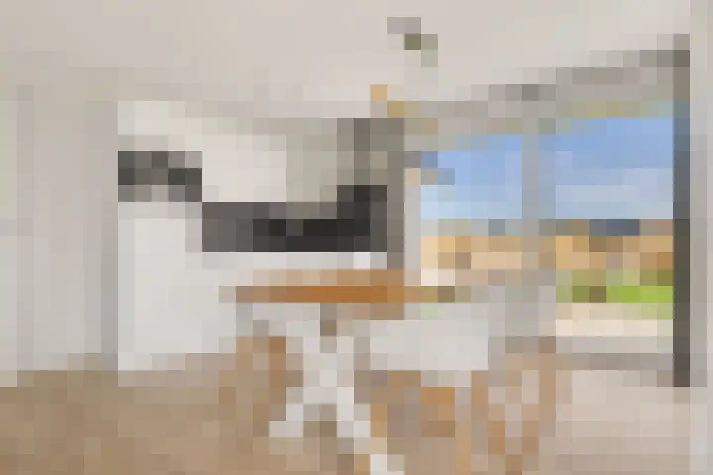 Camperveer 24 Kamperland thumbnail 11