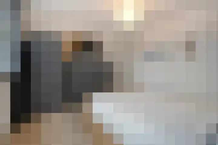 Campferbeekstraat 15 Dalfsen thumbnail 24