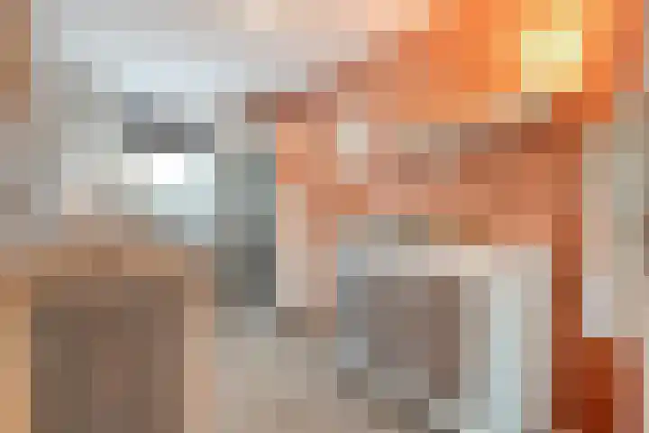Campferbeekstraat 15 Dalfsen thumbnail 25