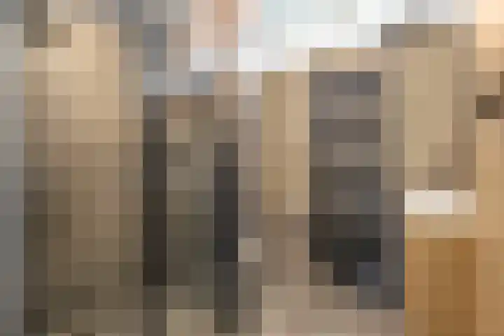 Campferbeekstraat 15 Dalfsen thumbnail 32