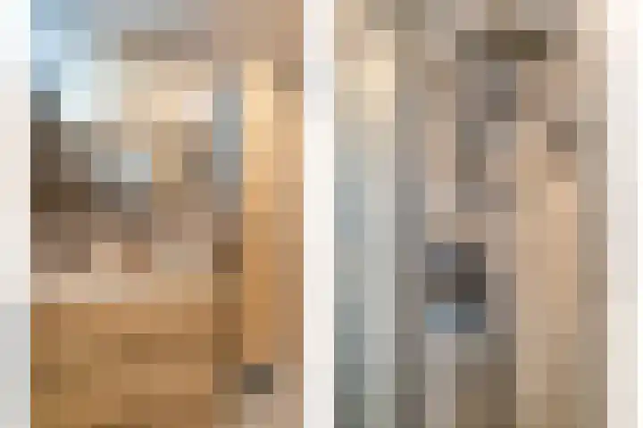 Campferbeekstraat 15 Dalfsen thumbnail 33