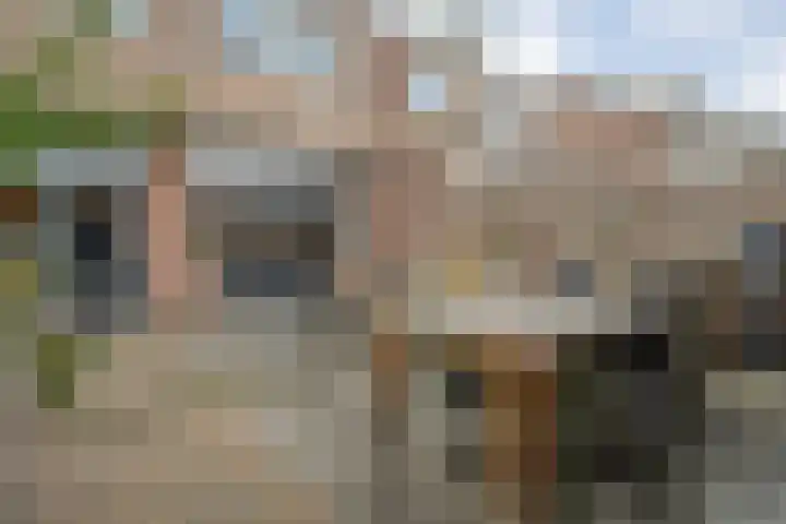 Campferbeekstraat 15 Dalfsen thumbnail 36