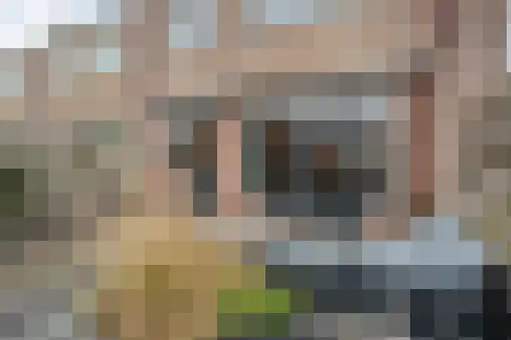 Campferbeekstraat 15 Dalfsen thumbnail 38