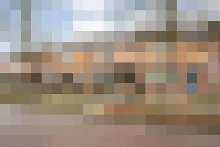 Campferbeekstraat 15 Dalfsen thumbnail 4