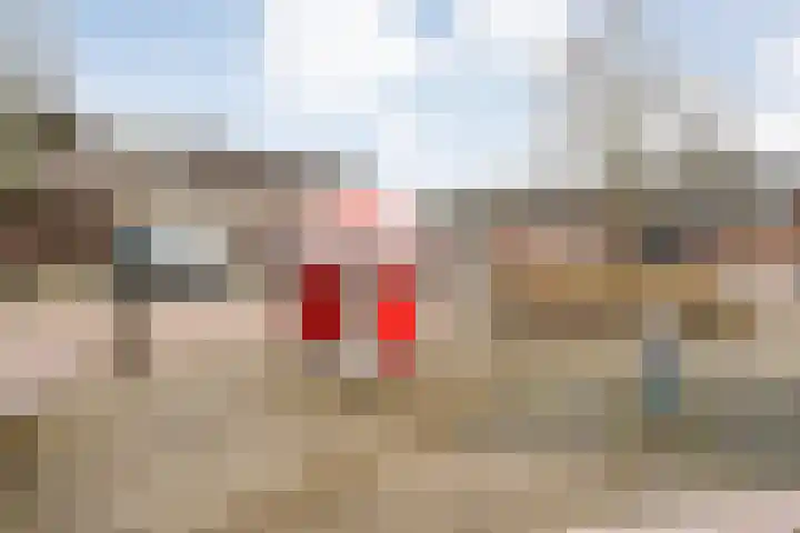 Campferbeekstraat 15 Dalfsen thumbnail 47