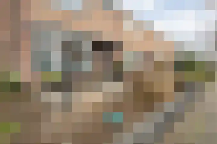 Campferbeekstraat 15 Dalfsen thumbnail 5