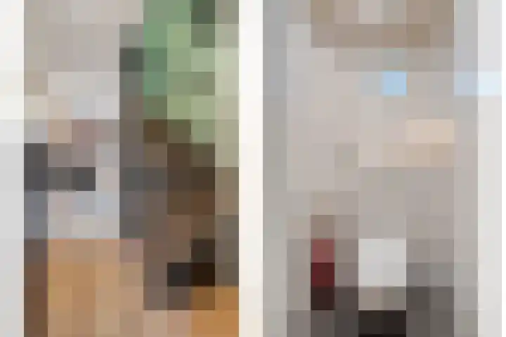 Campferbeekstraat 15 Dalfsen thumbnail 6