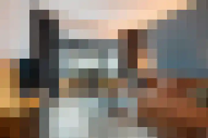 Campferbeekstraat 15 Dalfsen thumbnail 9