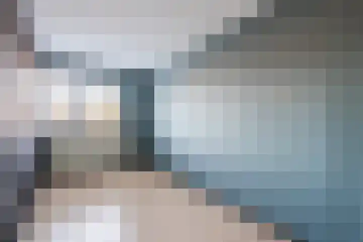 Campferbeekstraat 5 Dalfsen thumbnail 23