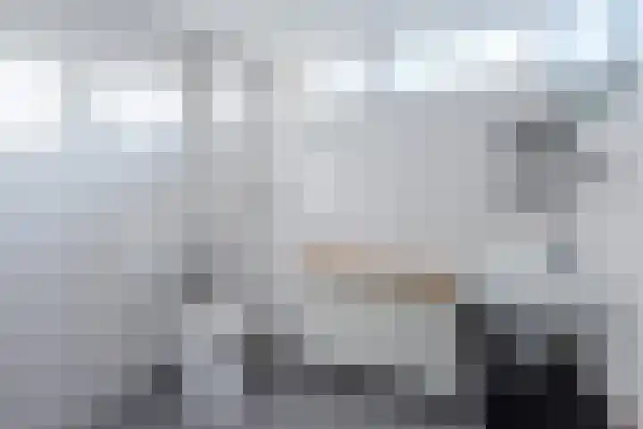 Campferbeekstraat 5 Dalfsen thumbnail 25