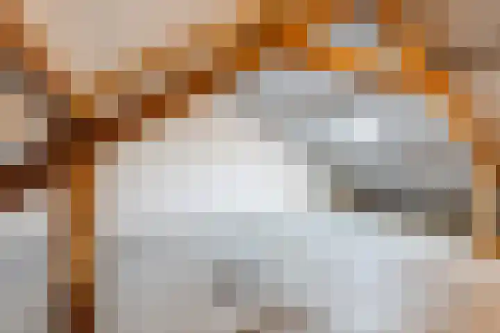 Campferbeekstraat 5 Dalfsen thumbnail 28