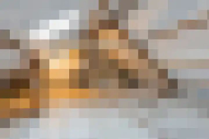 Campferbeekstraat 5 Dalfsen thumbnail 29