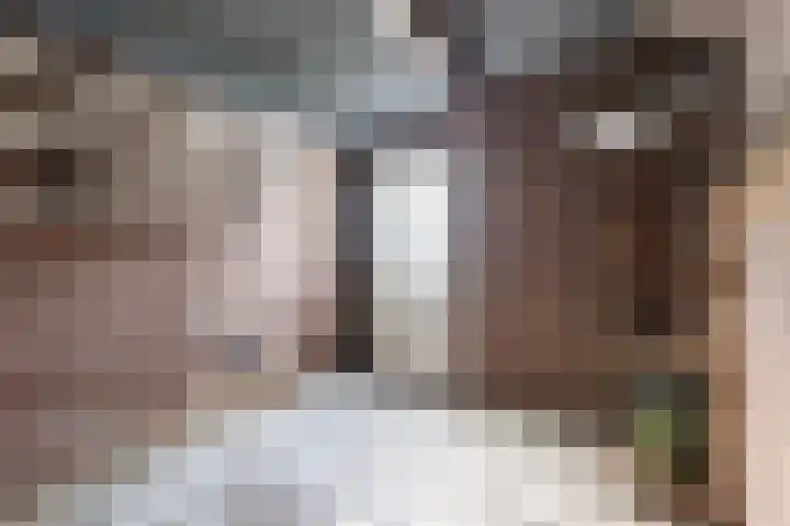 Campferbeekstraat 5 Dalfsen thumbnail 37