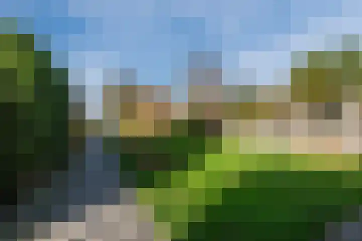 Campferbeekstraat 5 Dalfsen thumbnail 41