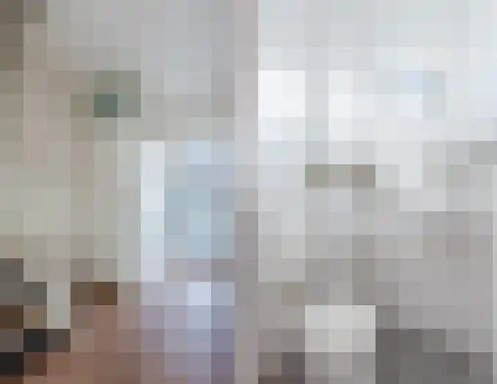 Campferbeekstraat 5 Dalfsen thumbnail 6